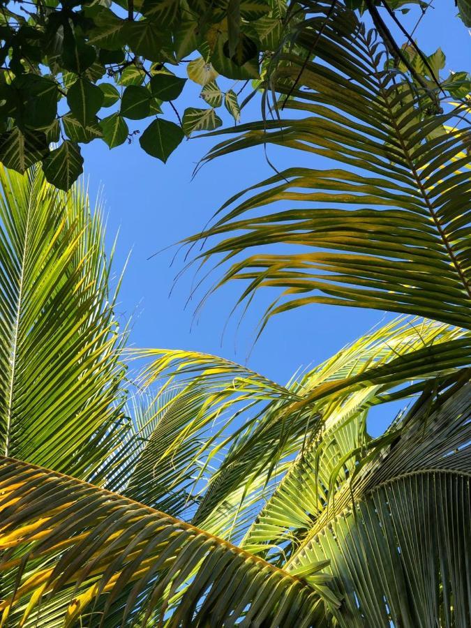 Sunshine Hotel Little Corn Island Ngoại thất bức ảnh
