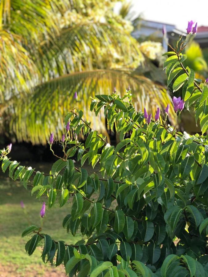 Sunshine Hotel Little Corn Island Ngoại thất bức ảnh